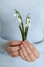 Woman holding beautiful snowdrop flowers, closeup view. Symbol of first spring day