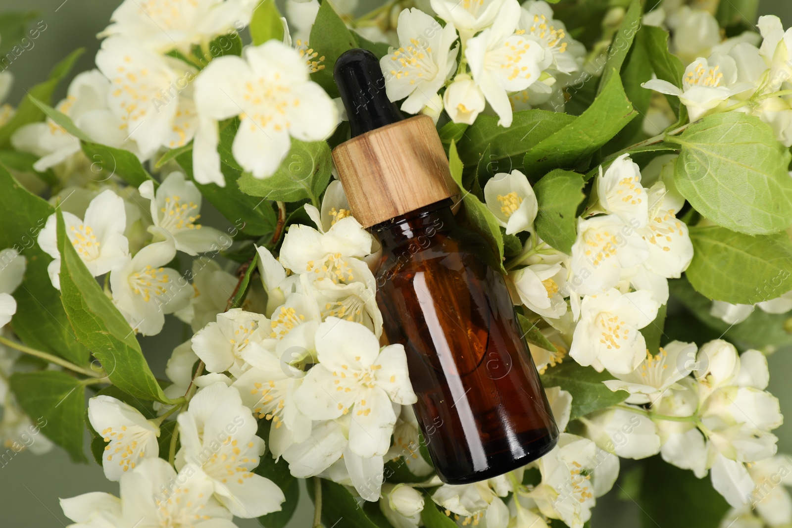 Photo of Essential oil in bottle on beautiful jasmine flowers against color background, flat lay