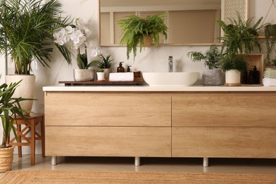 Bathroom decorated with green houseplants. Interior design