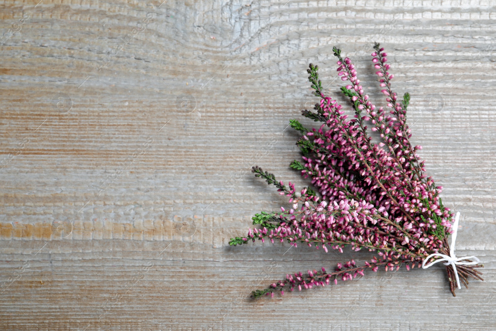 Photo of Bunch of heather branches with beautiful flowers on grey wooden table, top view. Space for text