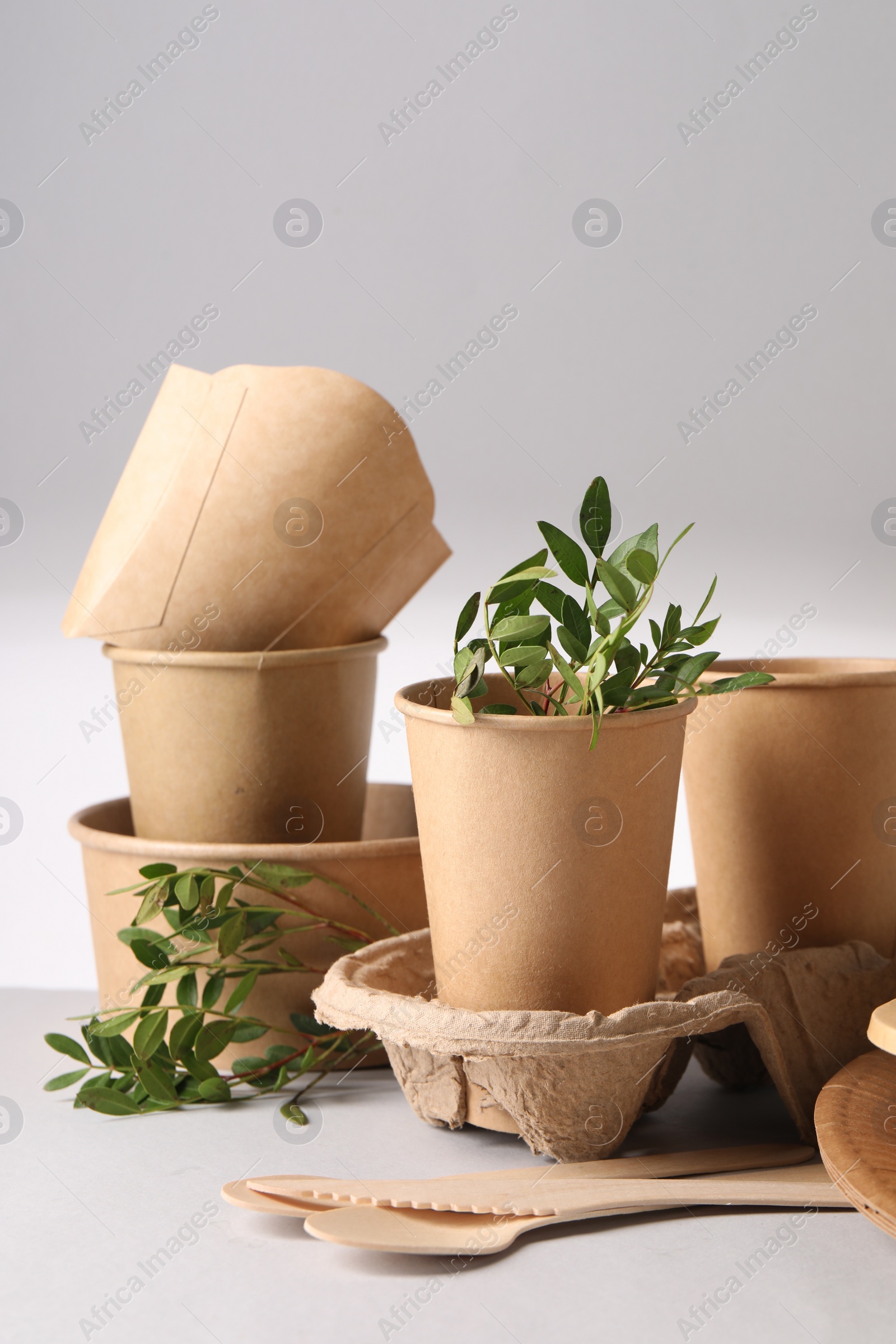 Photo of Eco friendly food packaging. Paper tableware, wooden cutlery and green twigs on light background