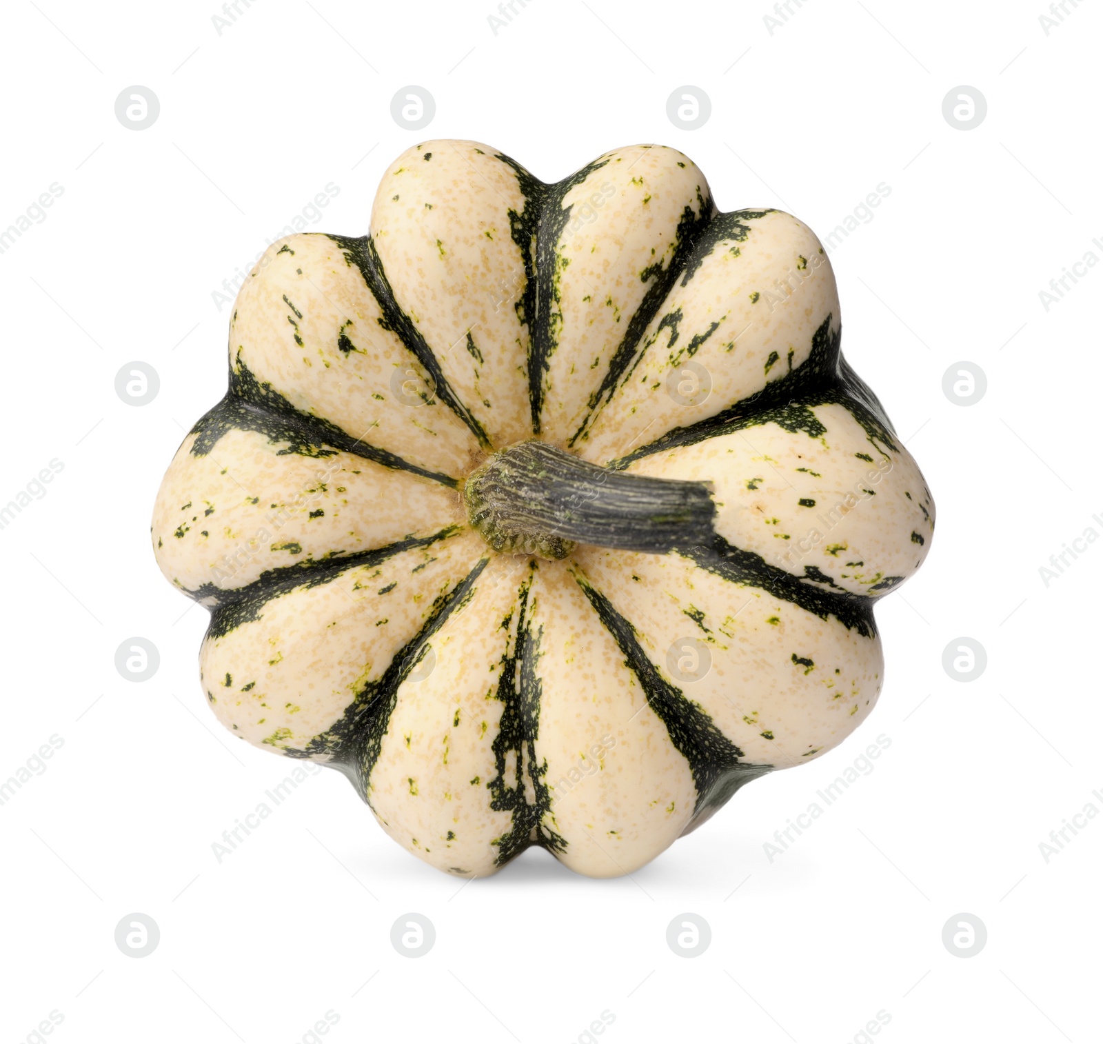 Photo of One whole ripe pumpkin isolated on white