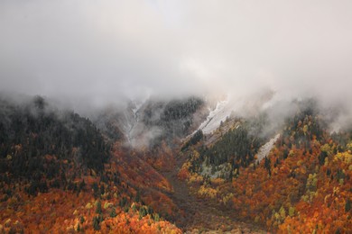 Picturesque view of mountains with forest covered by thick mist on autumn day