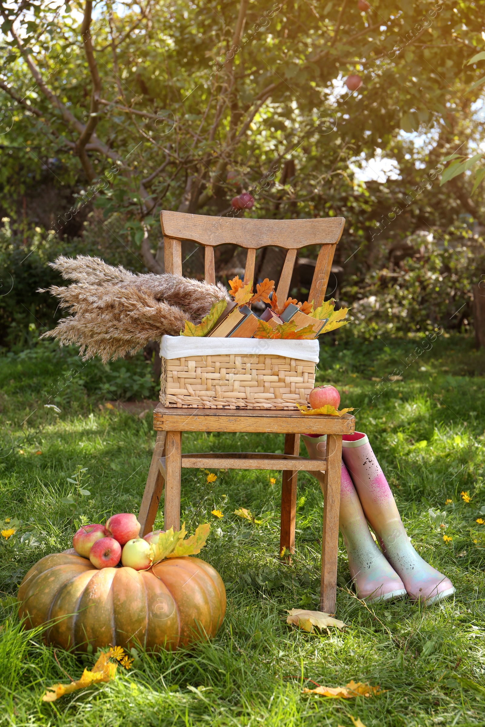 Photo of Rubber boots, chair, pumpkin and apples on green grass in park. Autumn atmosphere