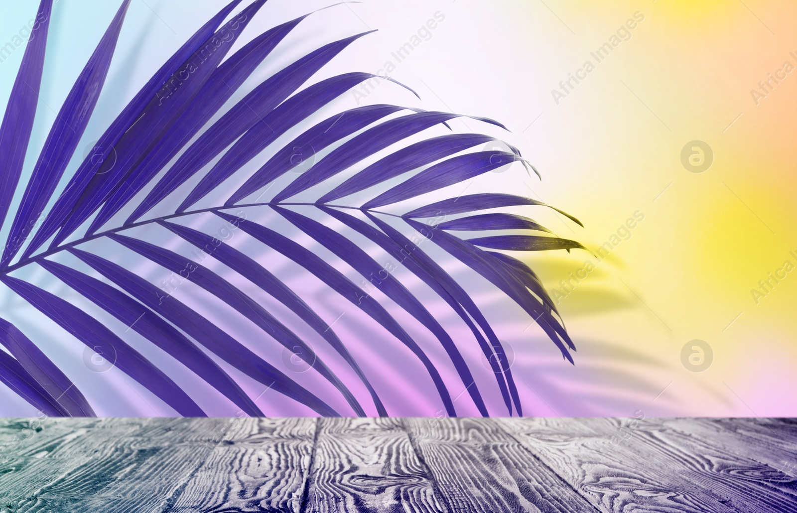 Image of Palm branch and wooden table against light background, color tone effect. Summer party