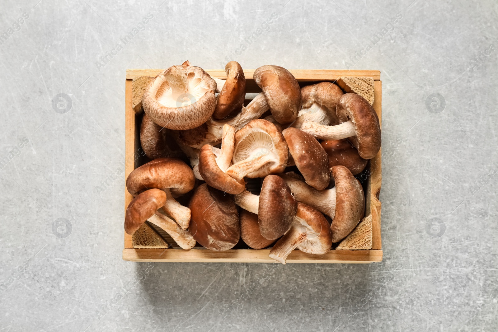 Photo of Fresh shiitake mushrooms on light table, top view