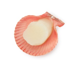 Fresh raw scallop in shell isolated on white, top view