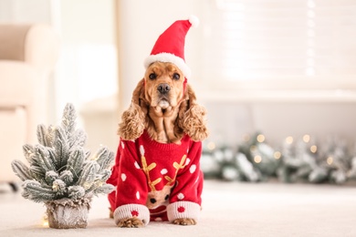 Photo of Adorable Cocker Spaniel in Christmas sweater and Santa hat near decorative fir tree