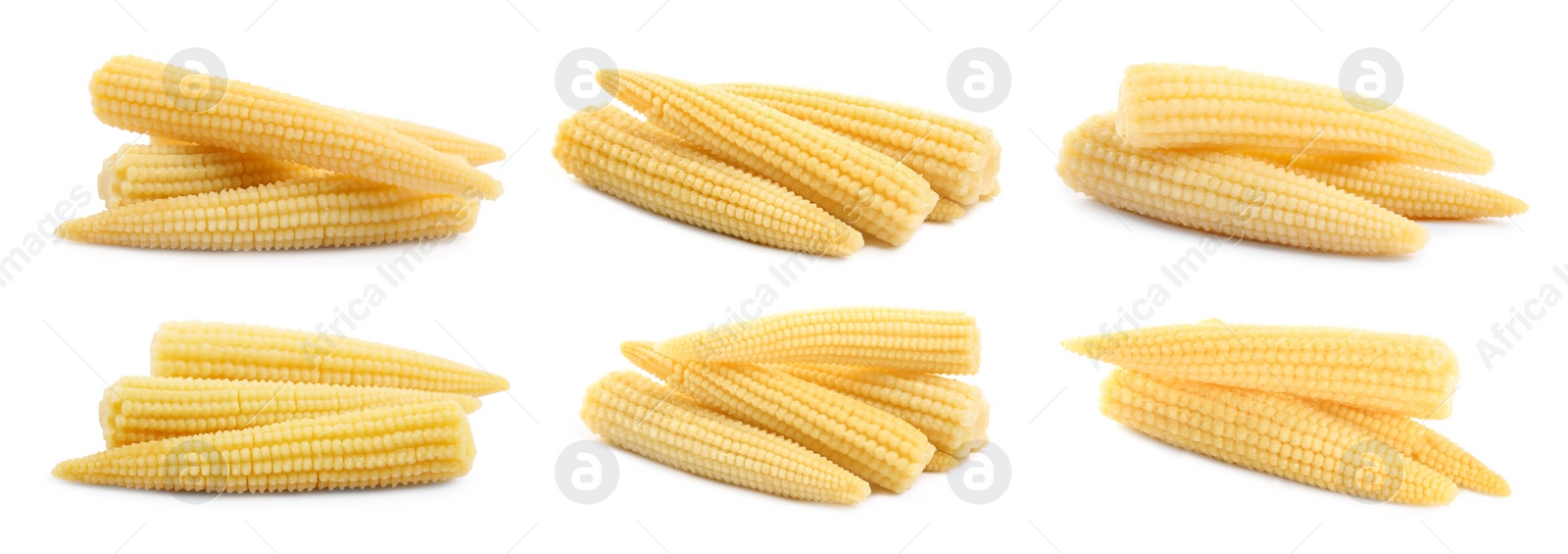 Image of Set with tasty baby corn cobs on white background. Banner design