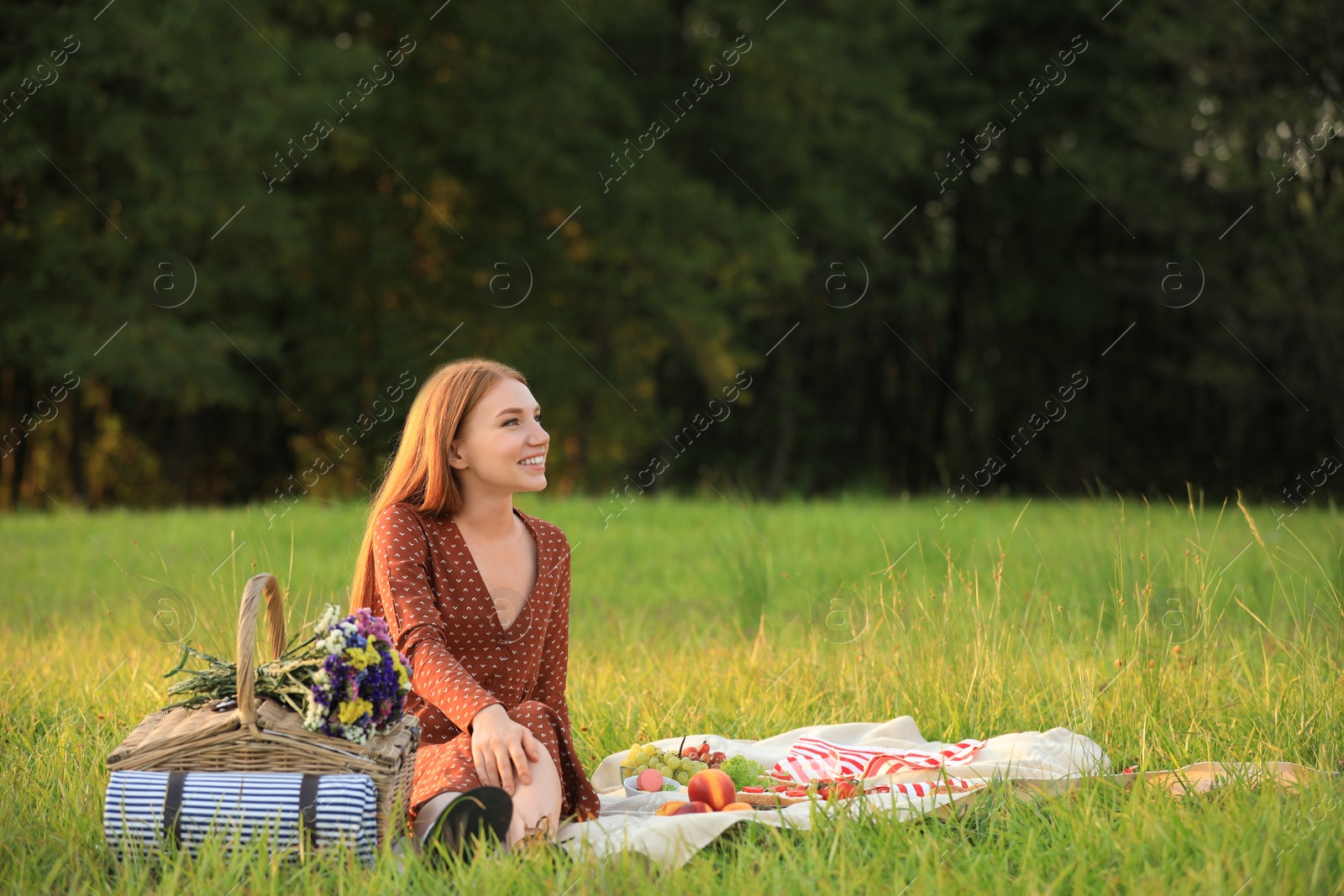 Photo of Beautiful young woman with picnic basket sitting on blanket in park