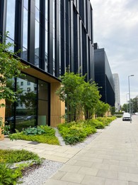 City street with beautiful buildings, pavement and green plants