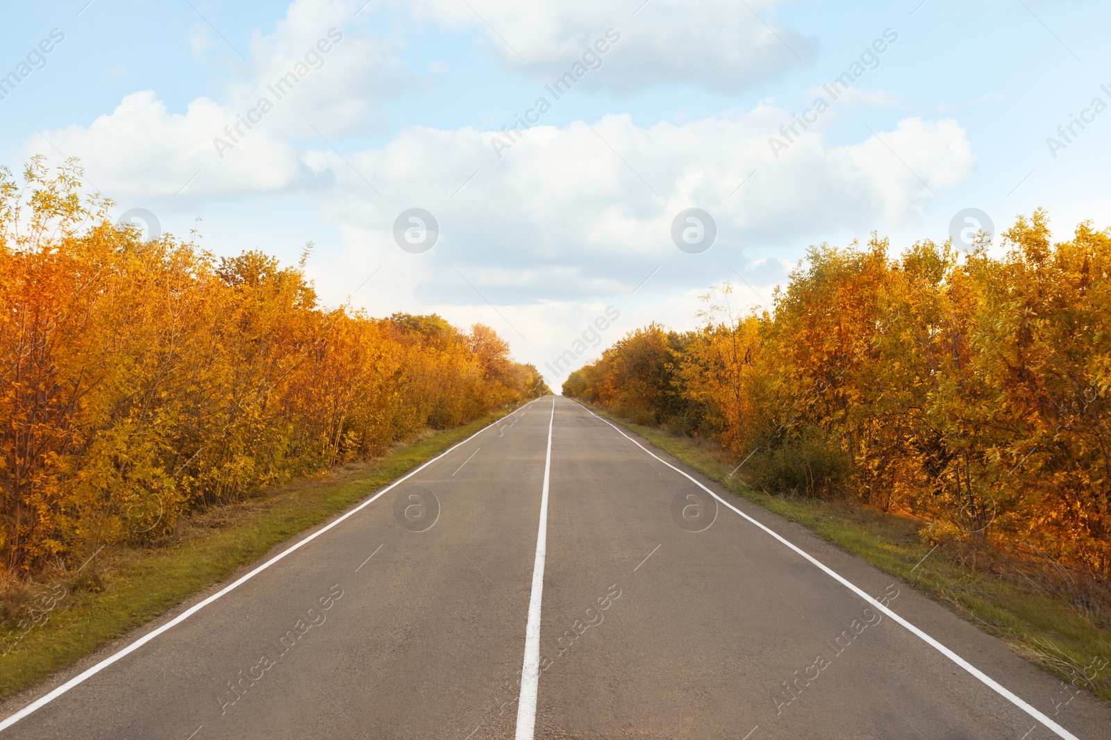 Image of Beautiful view of empty asphalt road in autumn