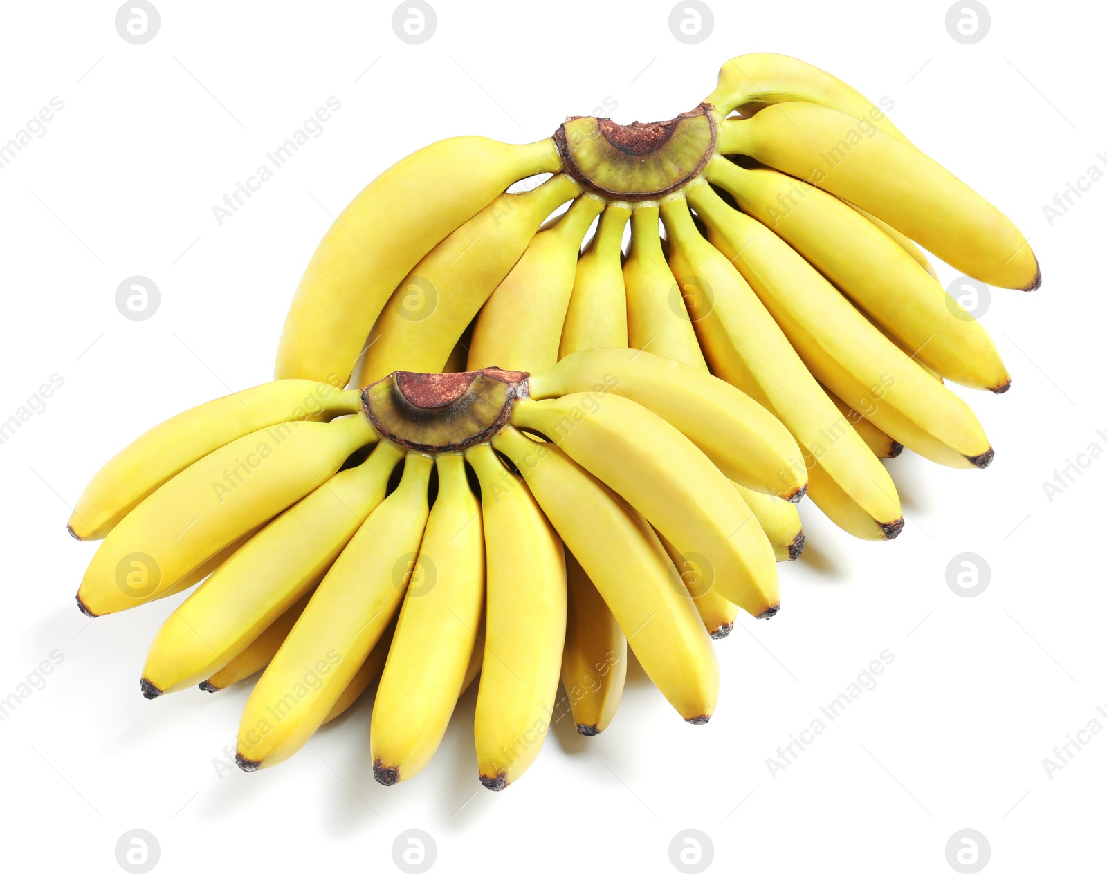 Photo of Bunches of ripe baby bananas on white background