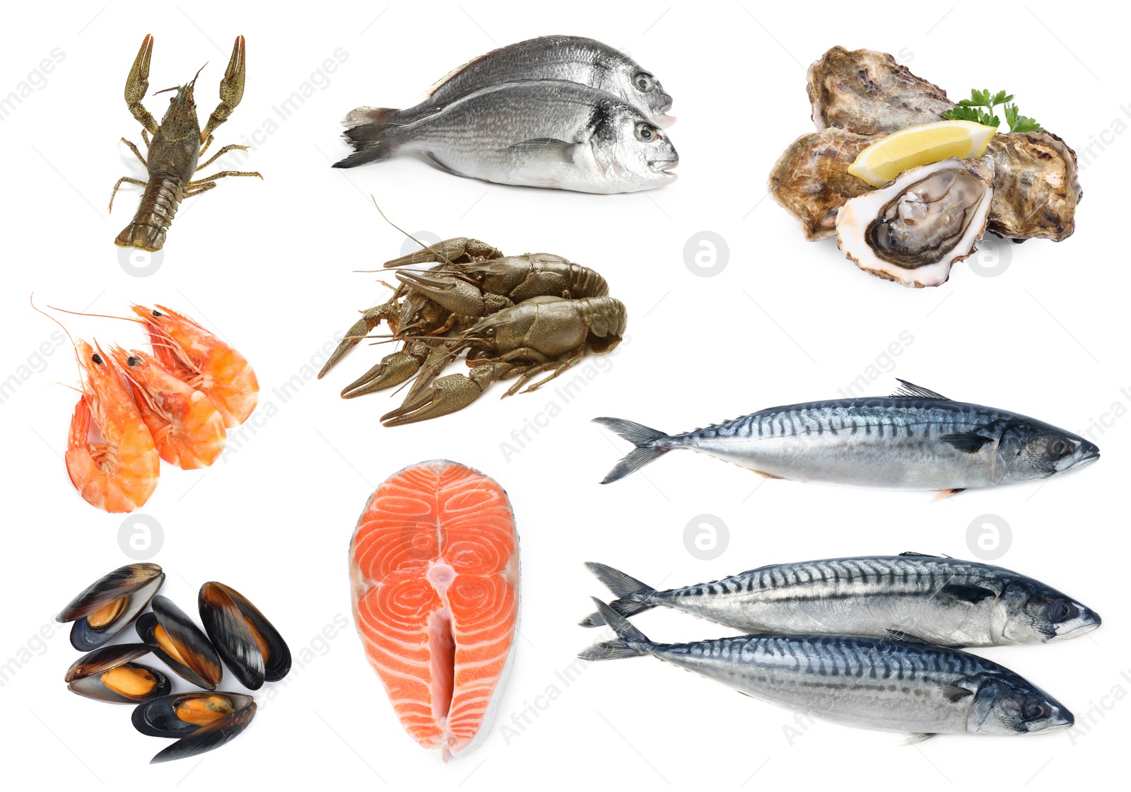 Image of Collage with different seafood on white background