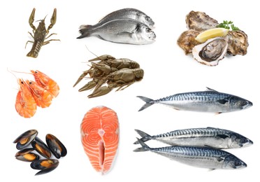 Image of Collage with different seafood on white background