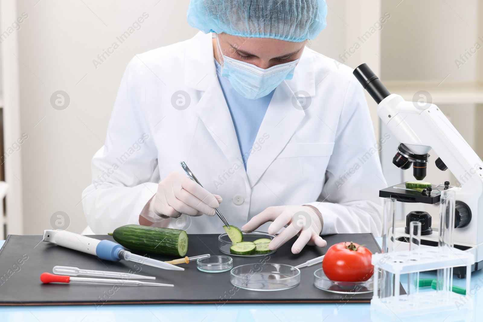 Photo of Quality control. Food inspector examining cucumber in laboratory