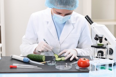 Quality control. Food inspector examining cucumber in laboratory