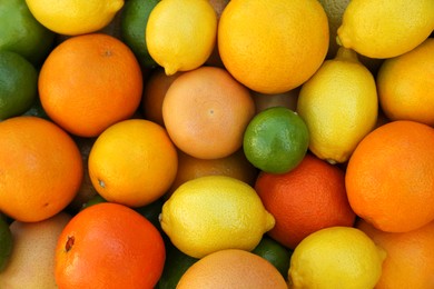Photo of Many different whole citrus fruits as background, top view