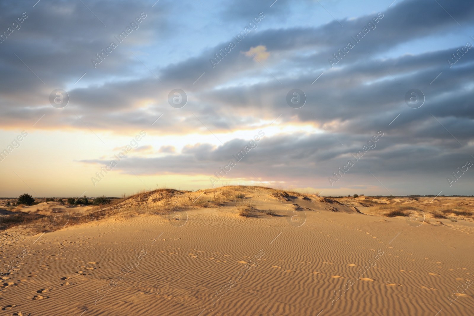 Photo of Picturesque view of desert and beautiful sky