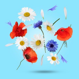 Image of Beautiful meadow flowers falling on light blue background