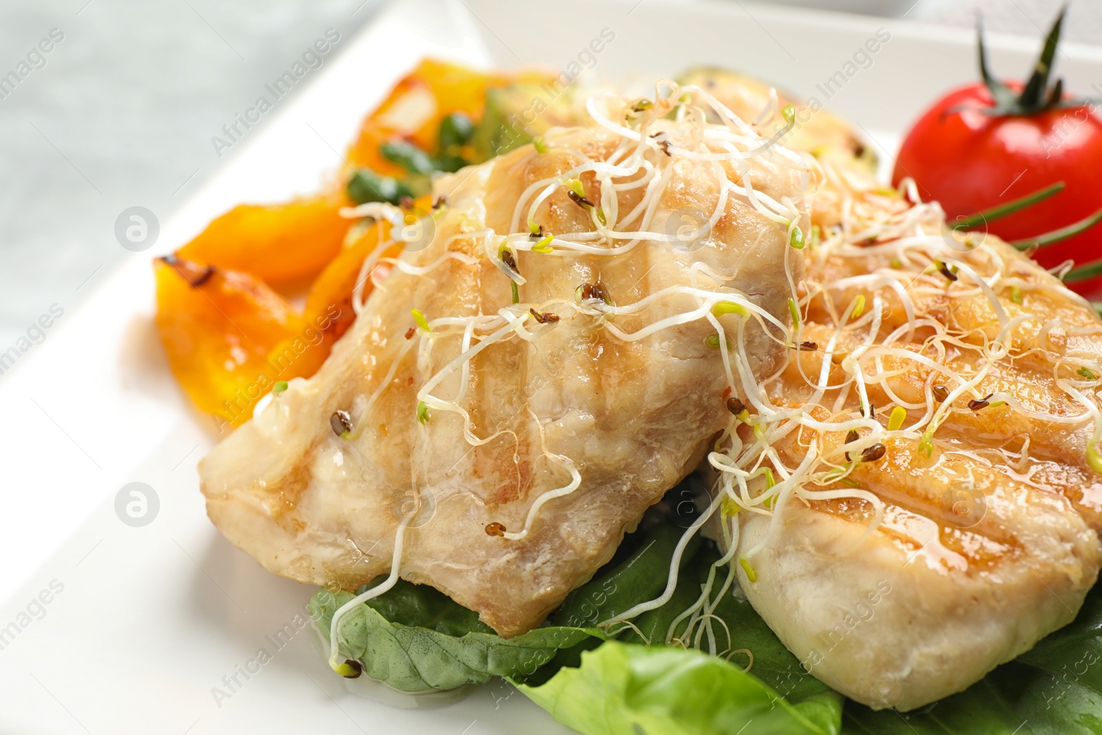 Photo of Tasty grilled fish with garnish in plate, closeup