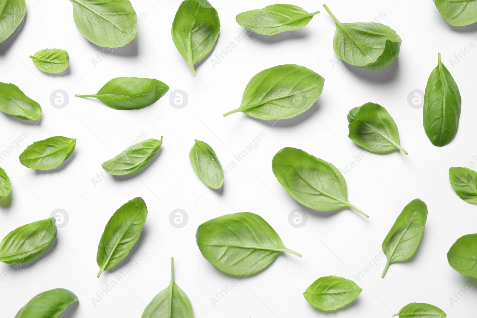 Photo of Fresh green basil leaves on white background, top view