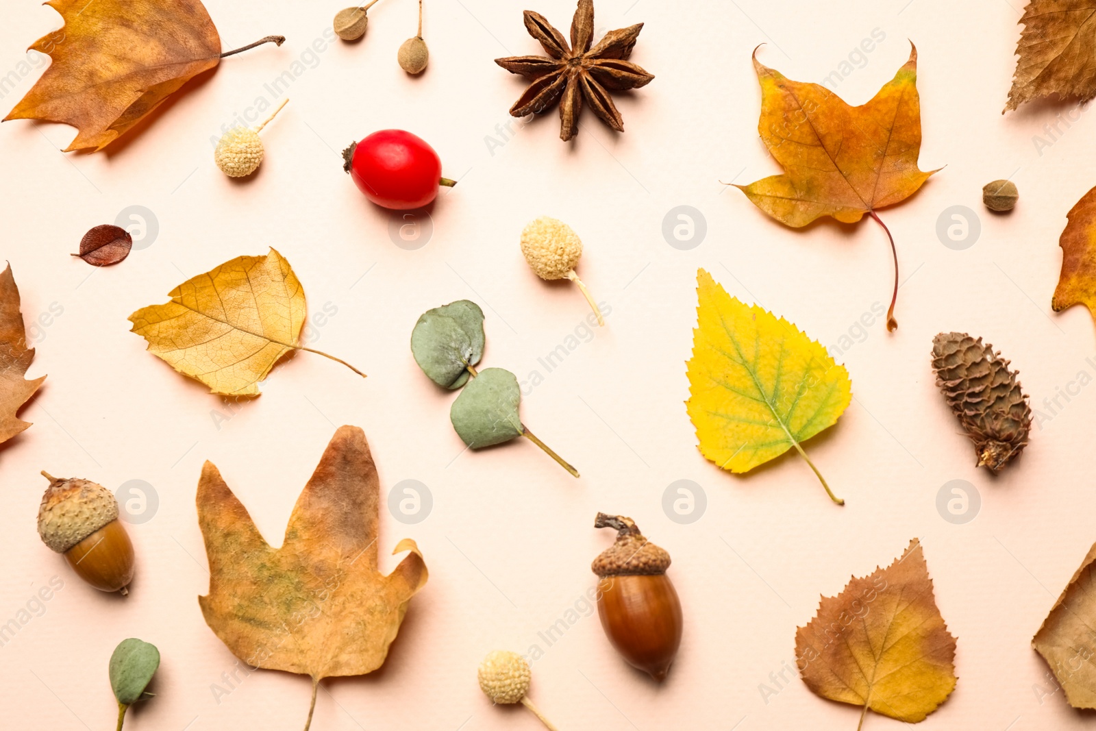 Photo of Flat lay composition with autumn leaves on light background