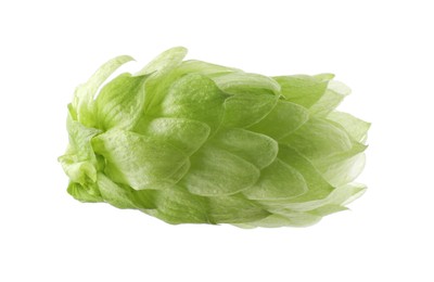 One fresh green hop isolated on white