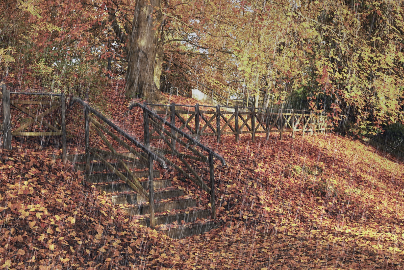 Image of Stone stairs and fallen autumn leaves in park on rainy day