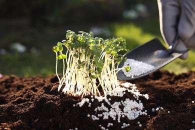 Man fertilizing soil with growing young microgreens outdoors, selective focus