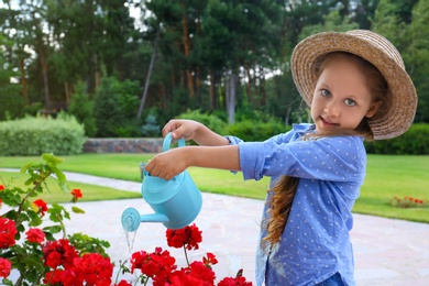 Little girl watering red flowers on backyard. Home gardening