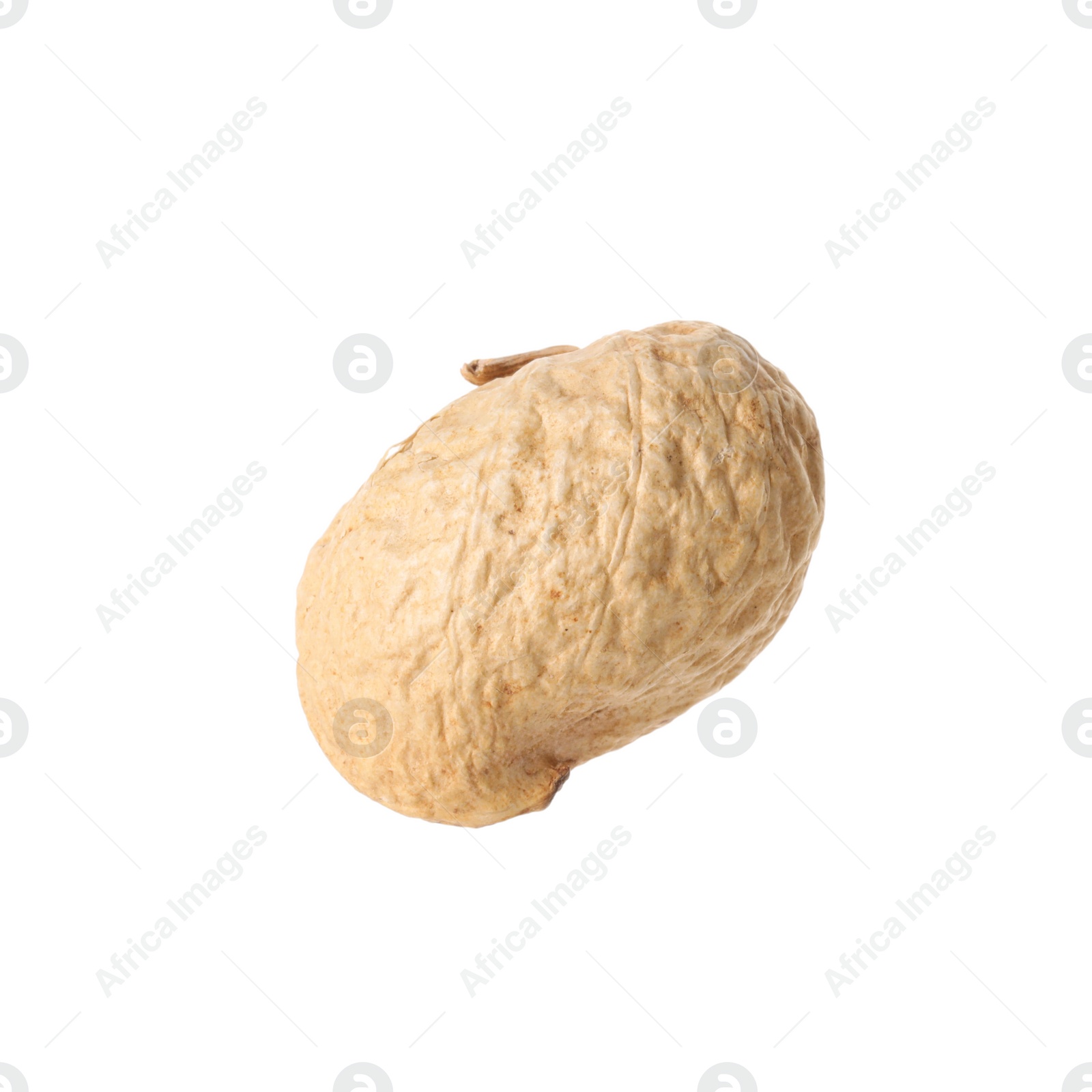 Photo of One fresh unpeeled peanut isolated on white