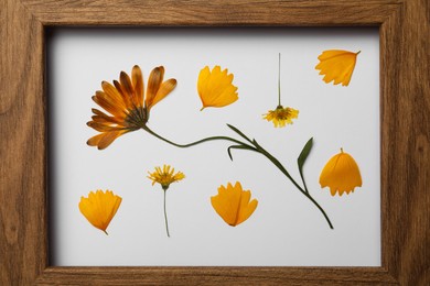 Photo of Frame with wild dried meadow flower and petals, top view