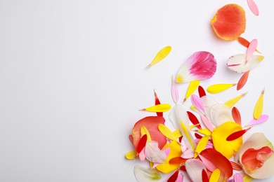 Pile of beautiful petals on white background, top view