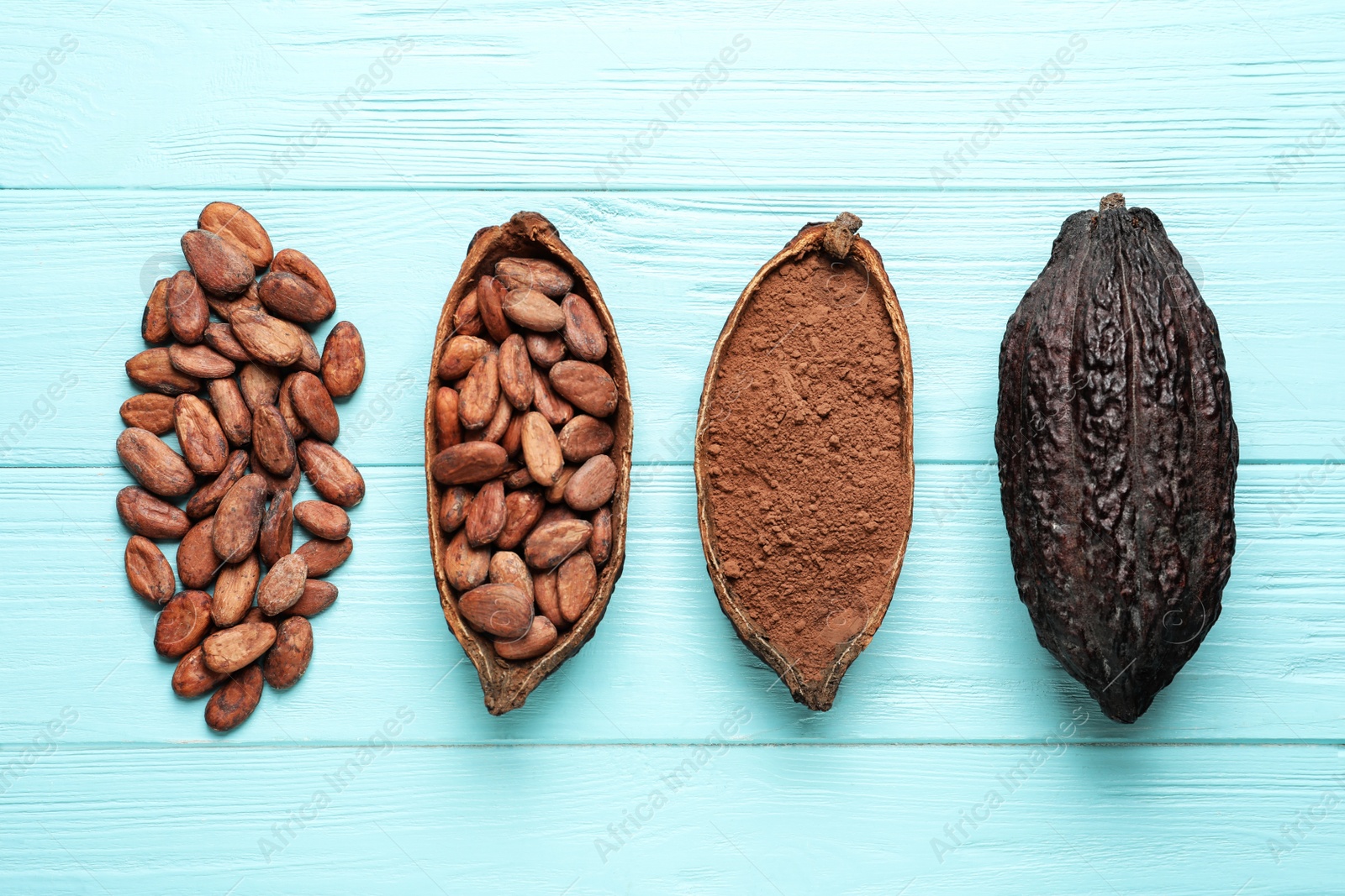 Photo of Cocoa beans, powder and pods on light blue table, flat lay
