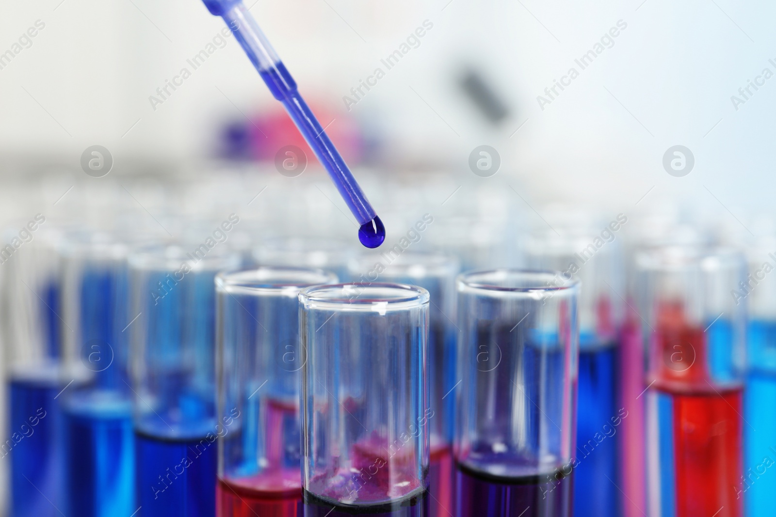 Photo of Dripping reagent into test tube with sample in chemistry laboratory, closeup