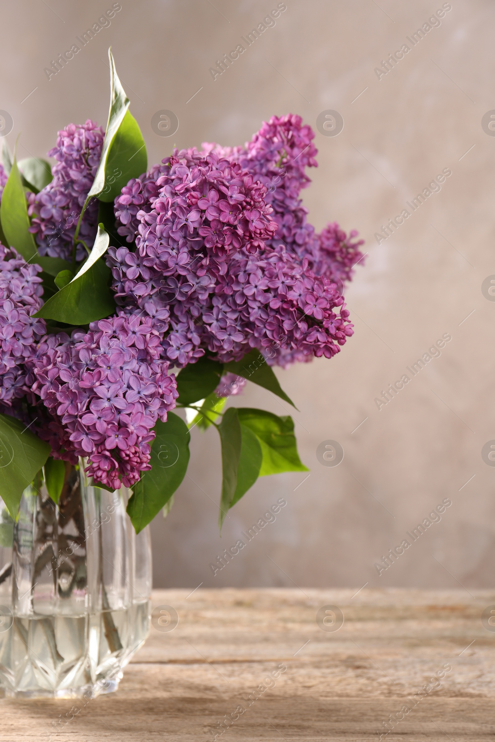 Photo of Beautiful lilac flowers in vase on wooden table, space for text