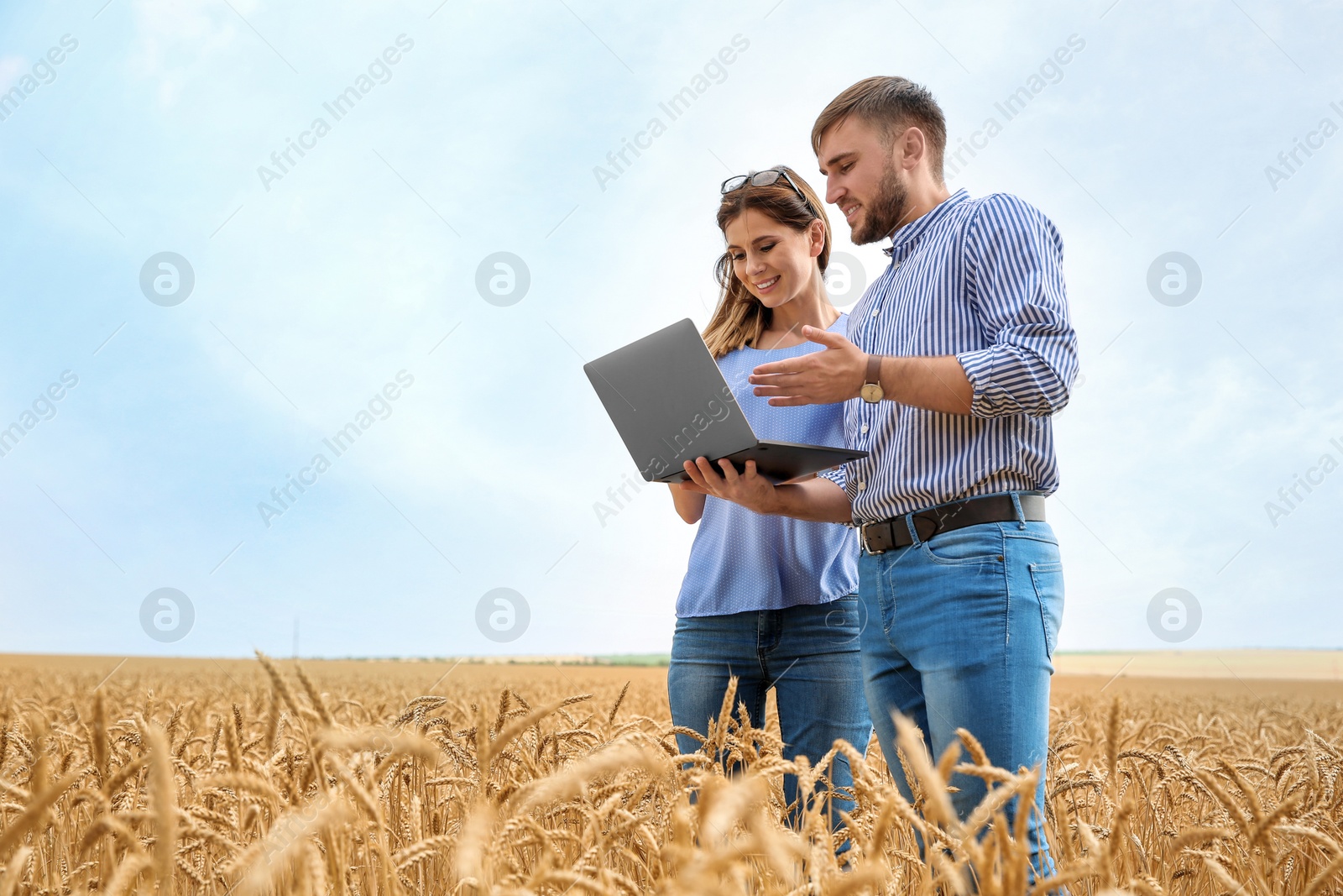 Photo of Young agronomists in grain field. Cereal farming