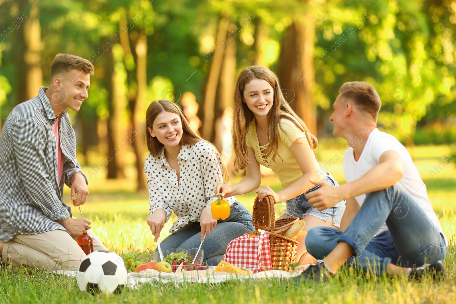 Photo of Young people enjoying picnic in park on summer day