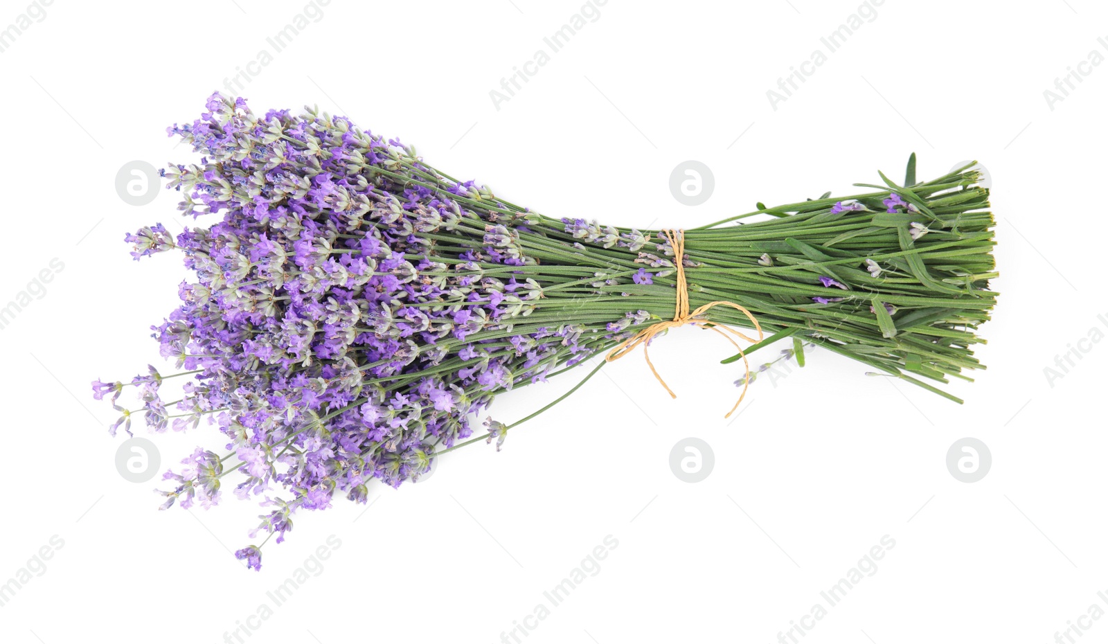 Photo of Beautiful tender lavender flowers on white background, top view