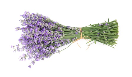 Photo of Beautiful tender lavender flowers on white background, top view