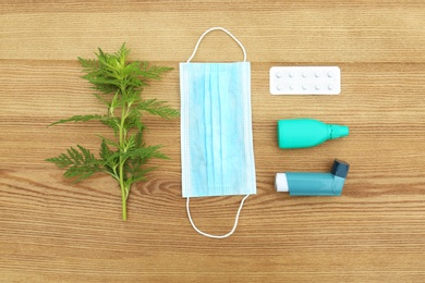 Photo of Flat lay composition with ragweed plant (Ambrosia genus) on wooden background. Seasonal allergy