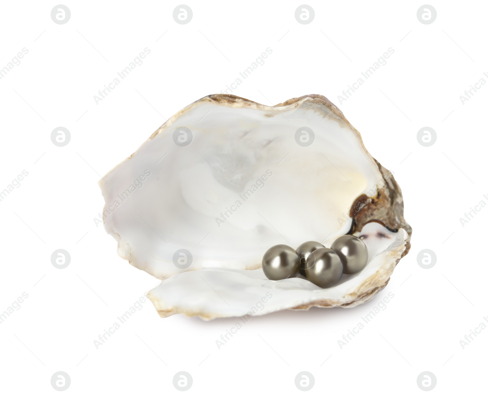 Photo of Open oyster shell with black pearls on white background