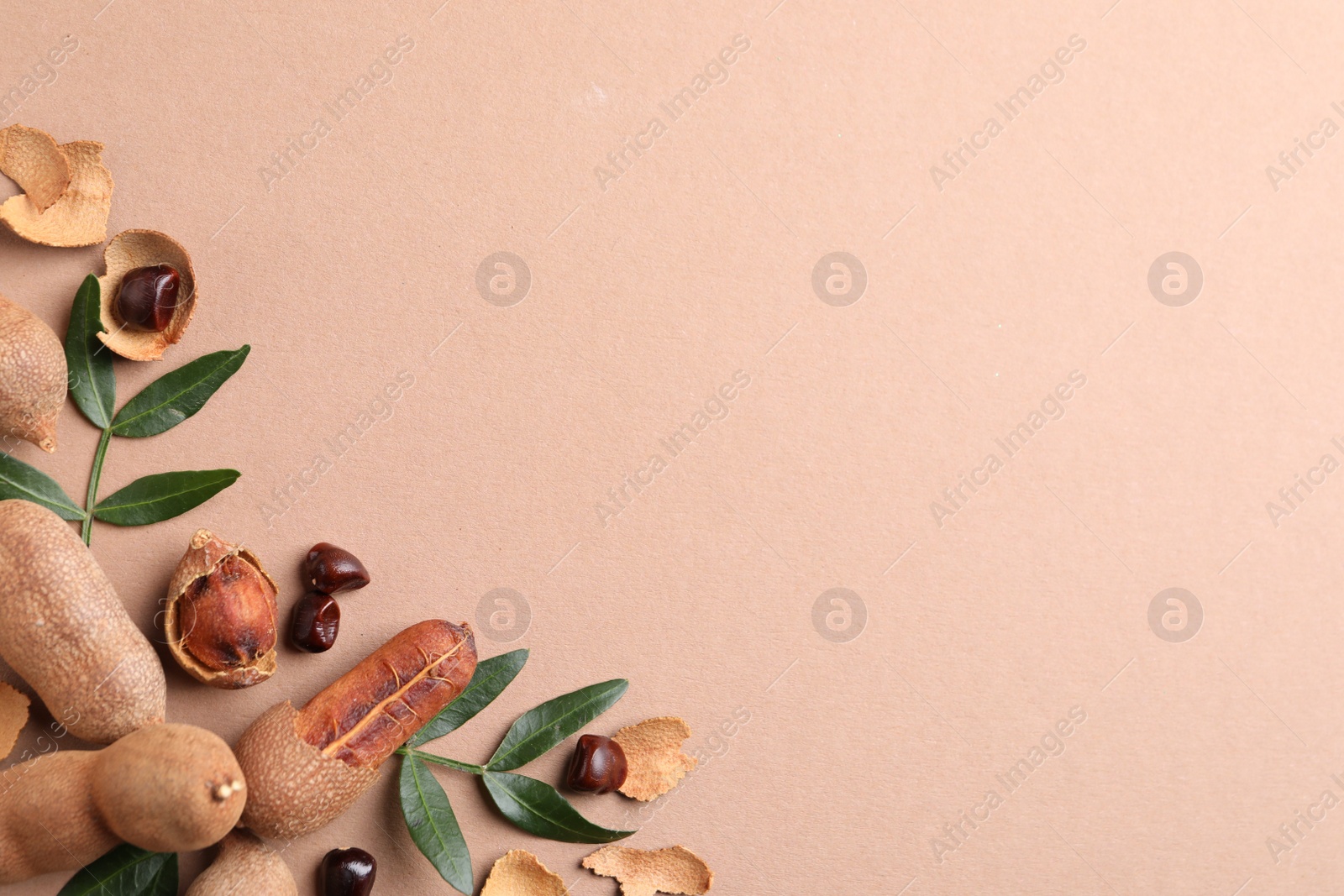 Photo of Ripe tamarinds and fresh leaves on beige background, flat lay. Space for text