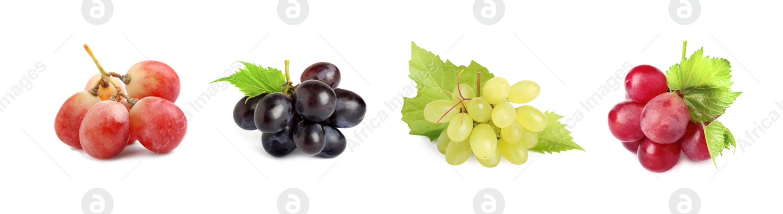 Image of Set of fresh grapes on white background. Banner design