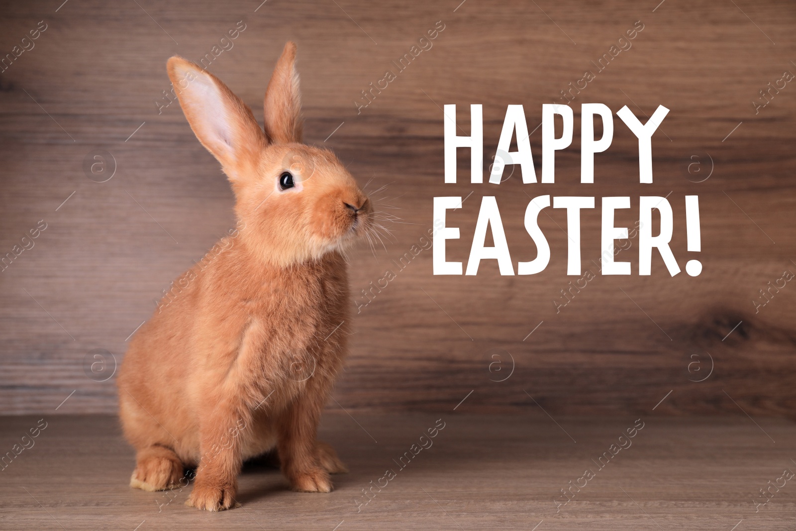 Image of Happy Easter! Cute bunny on table against wooden background 