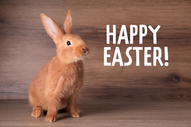 Image of Happy Easter! Cute bunny on table against wooden background 