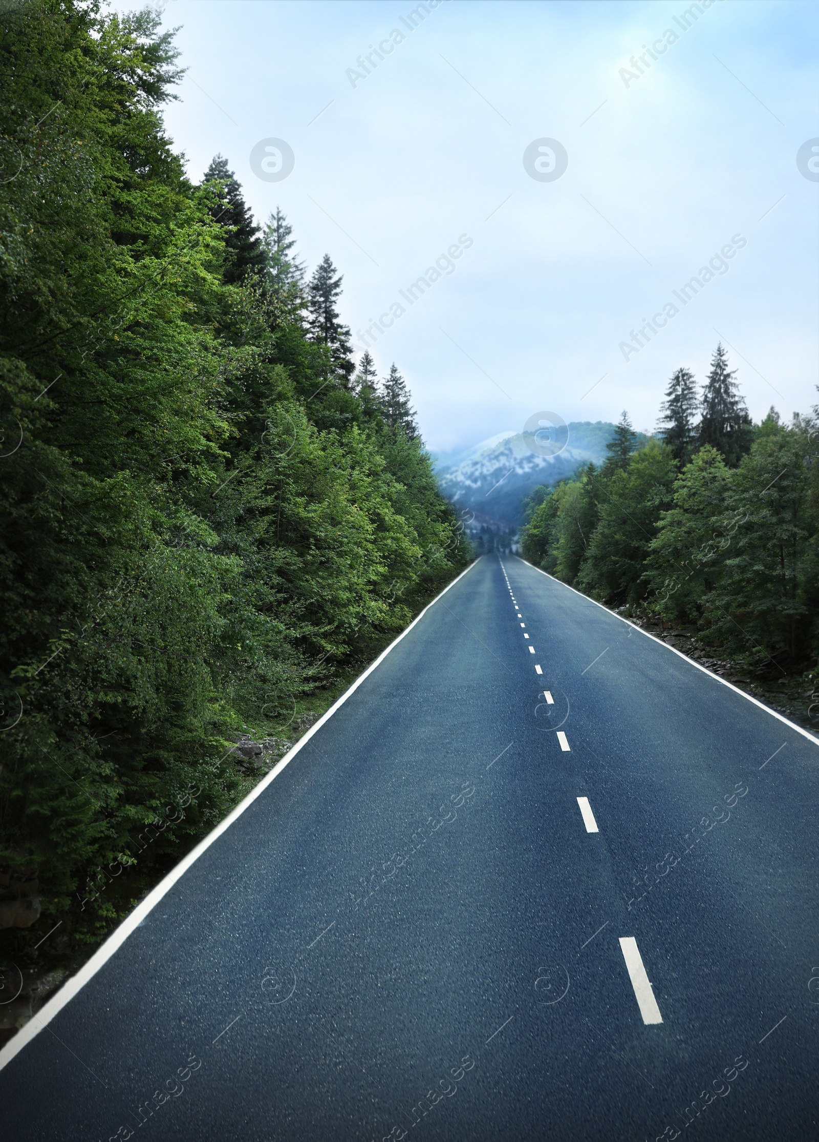 Image of Beautiful view of forest and empty asphalt road leading to mountains