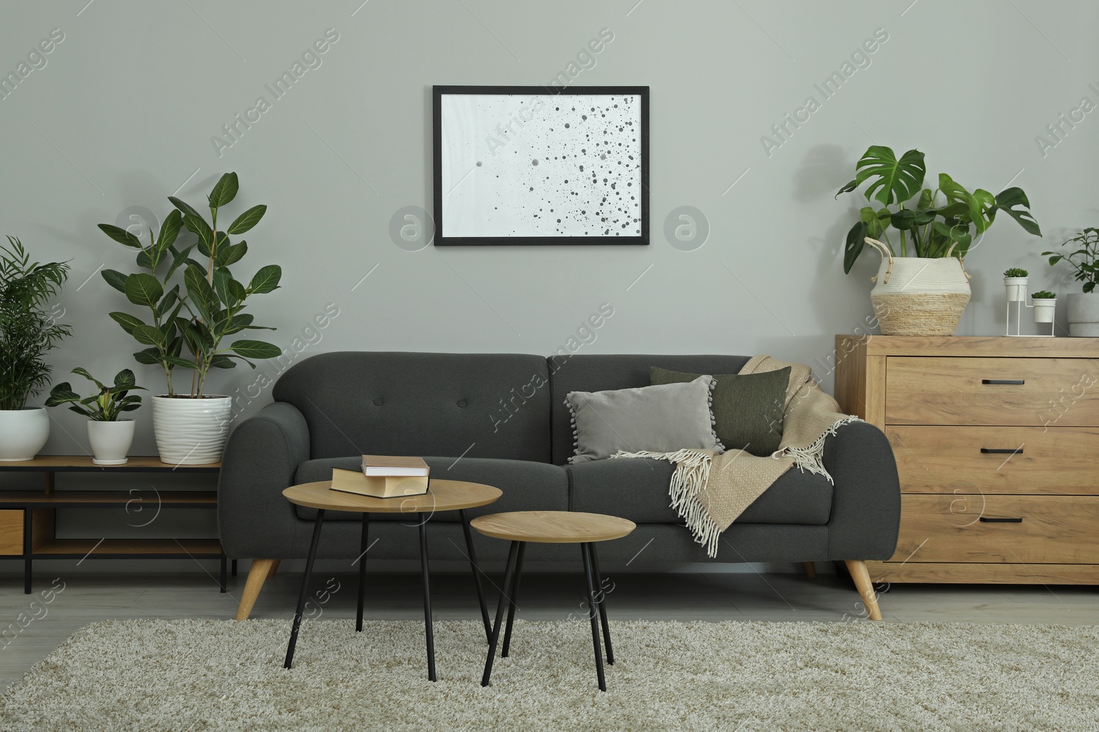 Photo of Stylish room with comfortable sofa and beautiful houseplants. Interior design