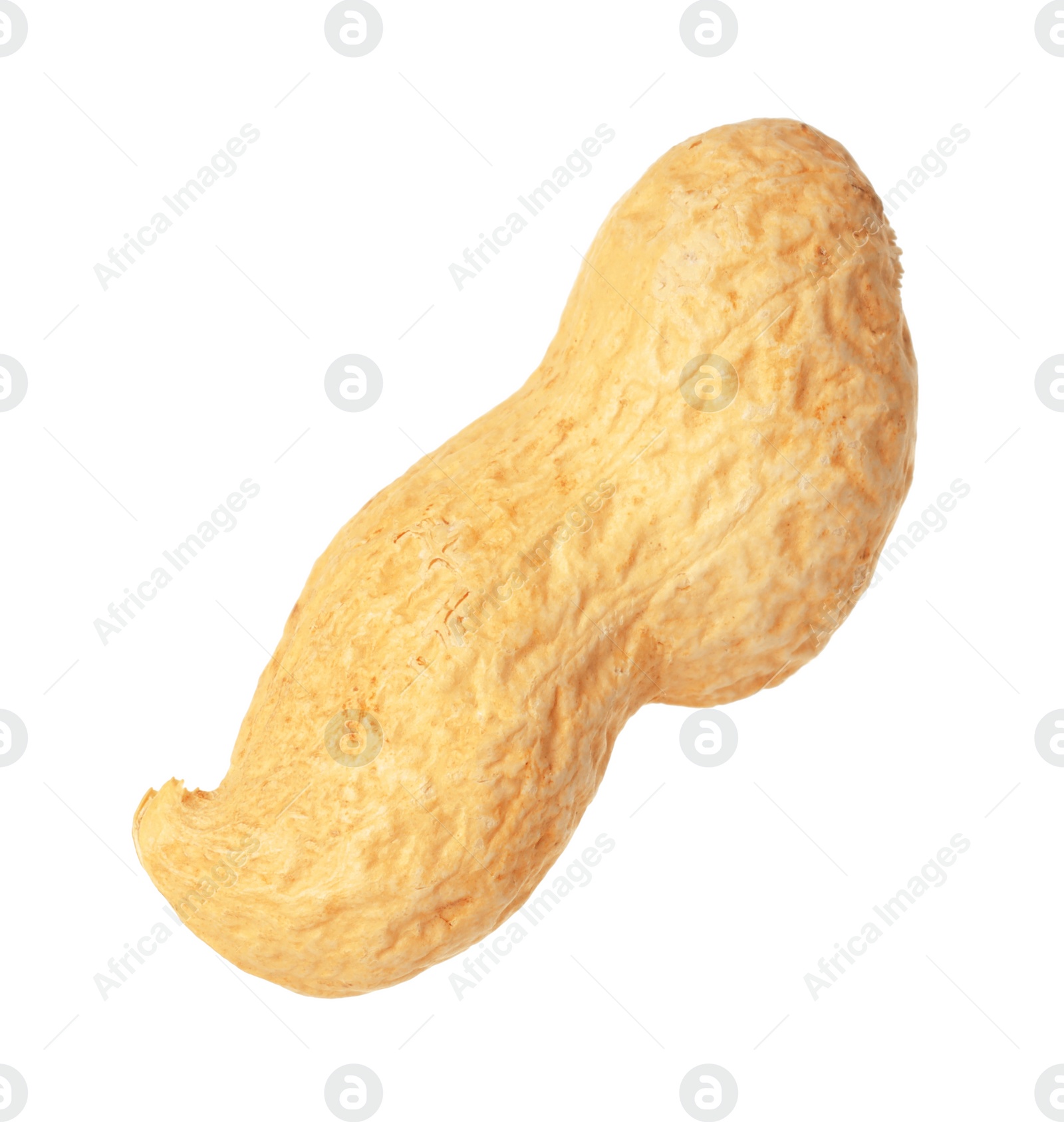 Photo of One fresh unpeeled peanut isolated on white